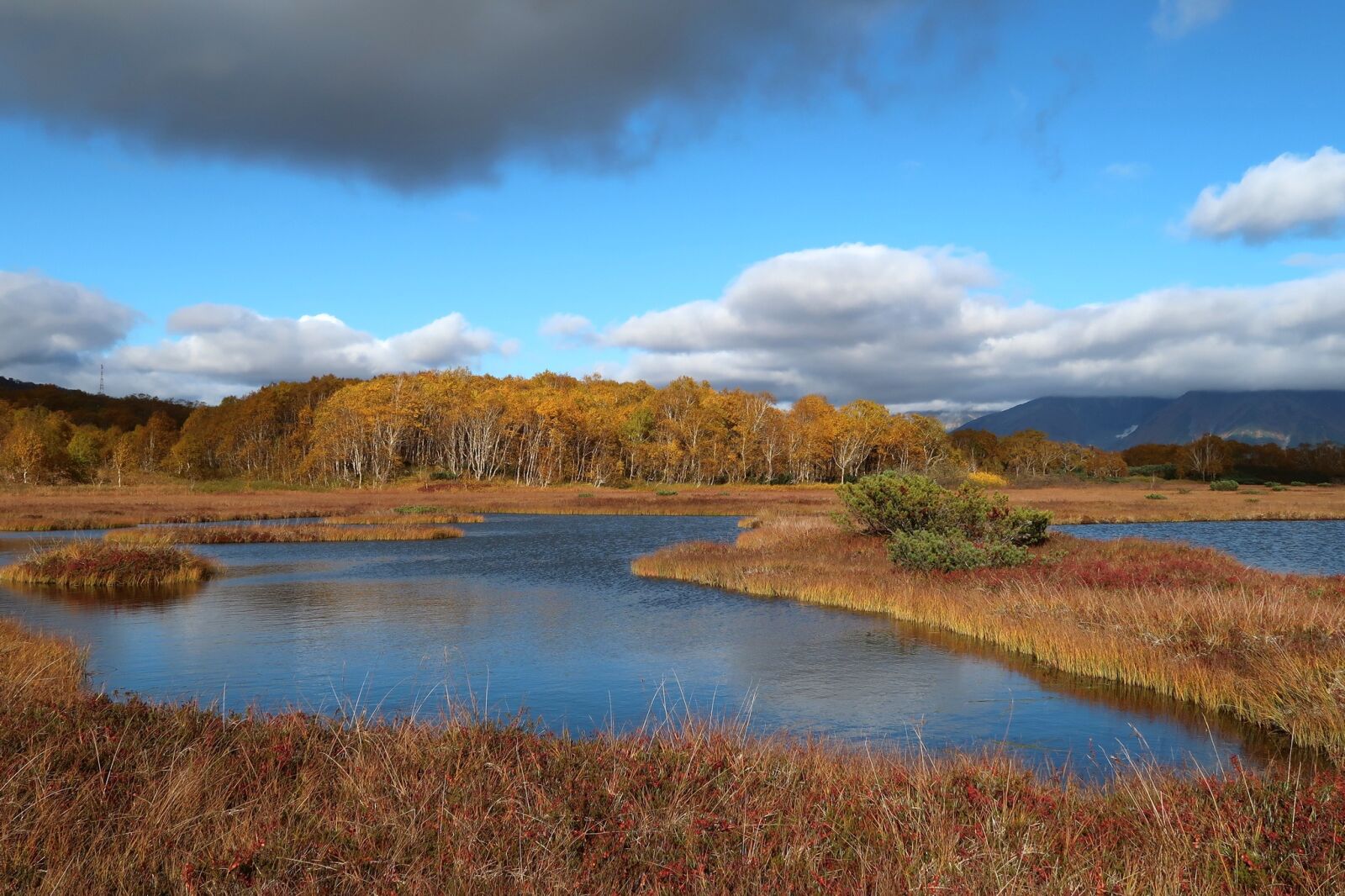Canon PowerShot G7 X Mark II sample photo. Autumn, lake, forest photography