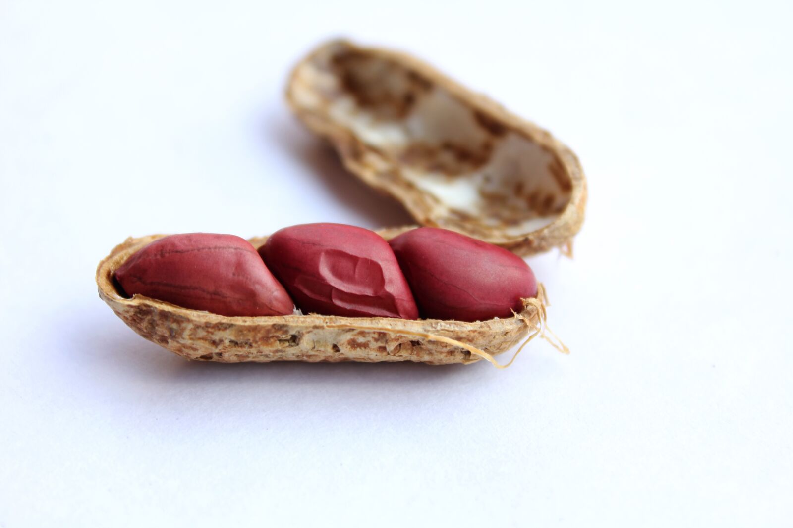 Canon EOS 550D (EOS Rebel T2i / EOS Kiss X4) sample photo. Peanuts, cover, nut photography