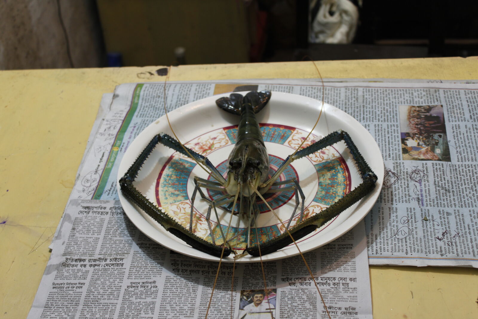 Canon EOS 500D (EOS Rebel T1i / EOS Kiss X3) sample photo. Bangladesh, canal, fish, fisherman photography