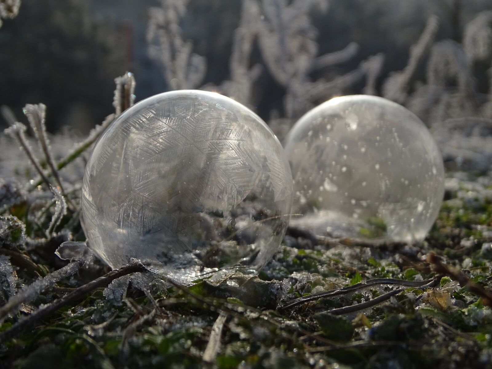 Sony Cyber-shot DSC-HX400V sample photo. Bubble, frost, winter photography