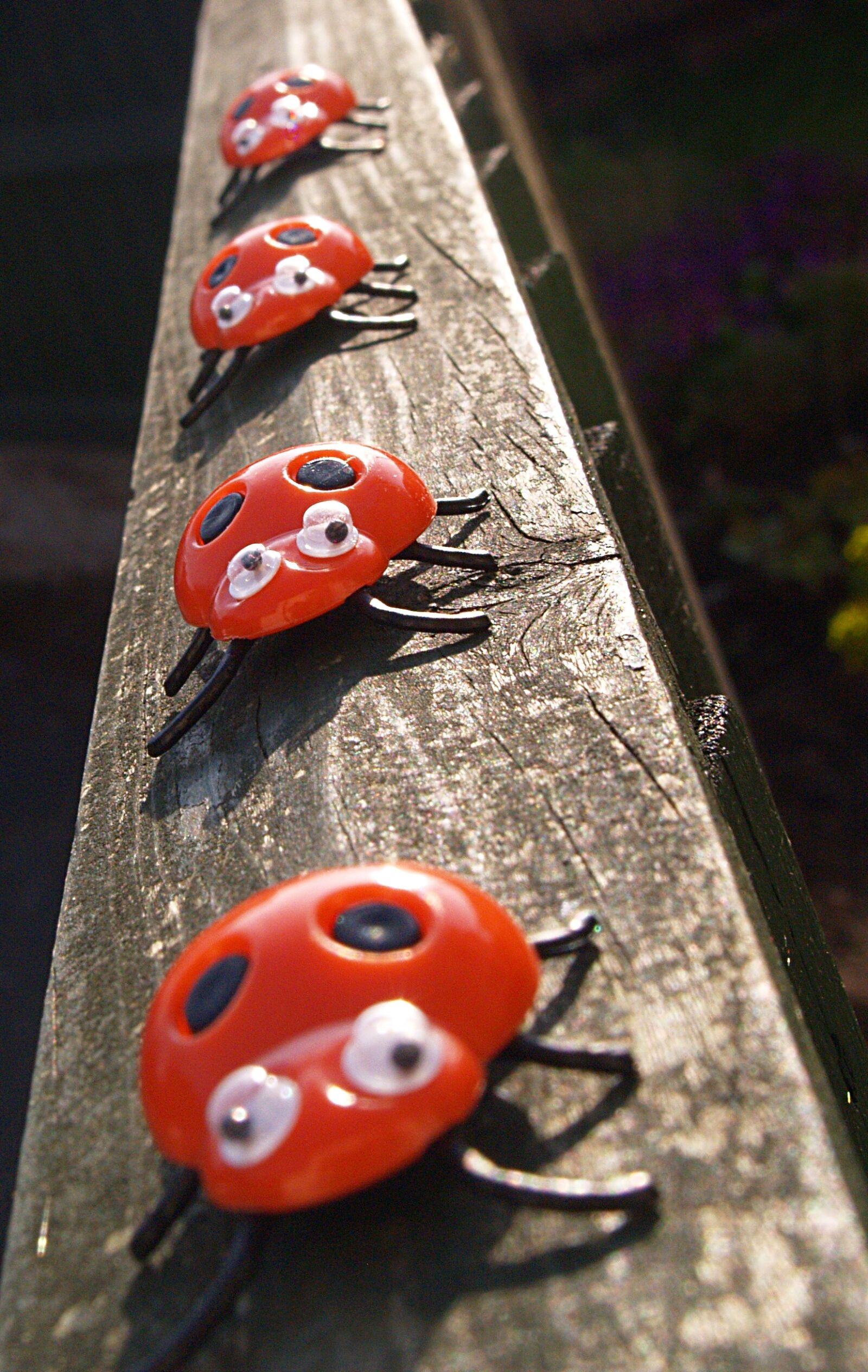 Olympus E-300 (EVOLT E-300) sample photo. Ladybirds, fence, toys photography
