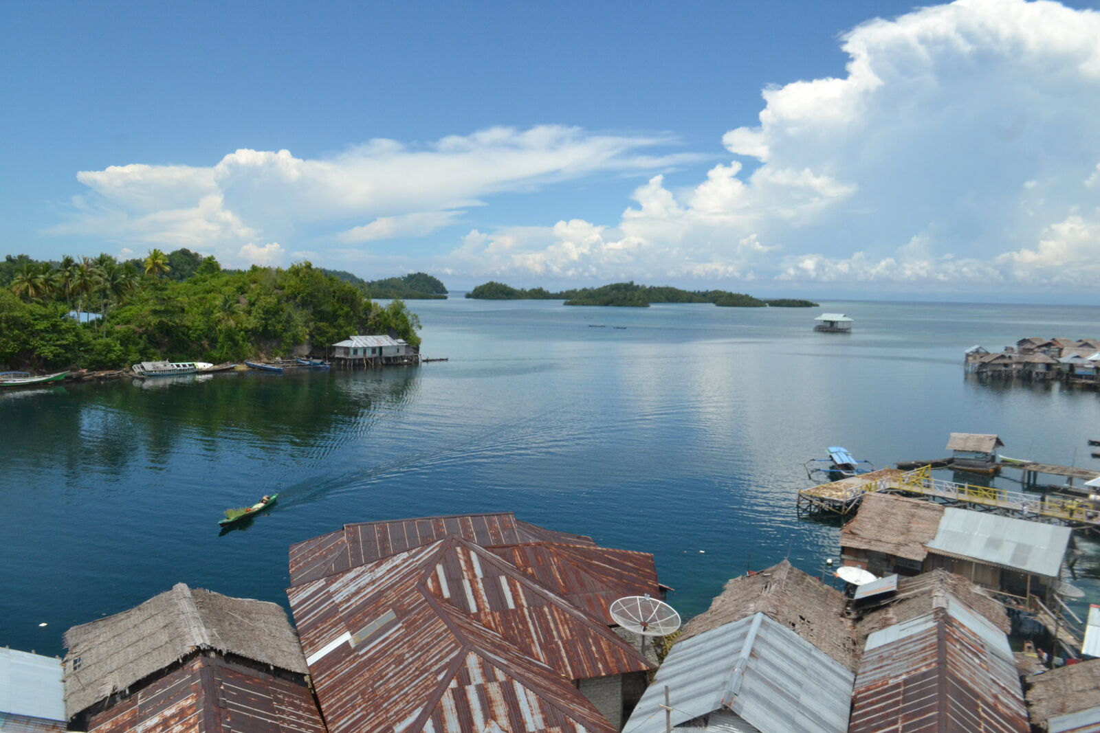 Nikon D3100 sample photo
