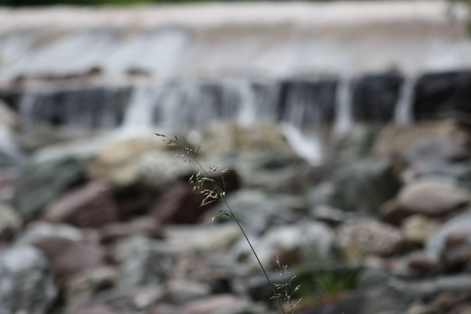 Canon EF75-300mm f/4-5.6 sample photo. Waterfall, nature, leaves photography