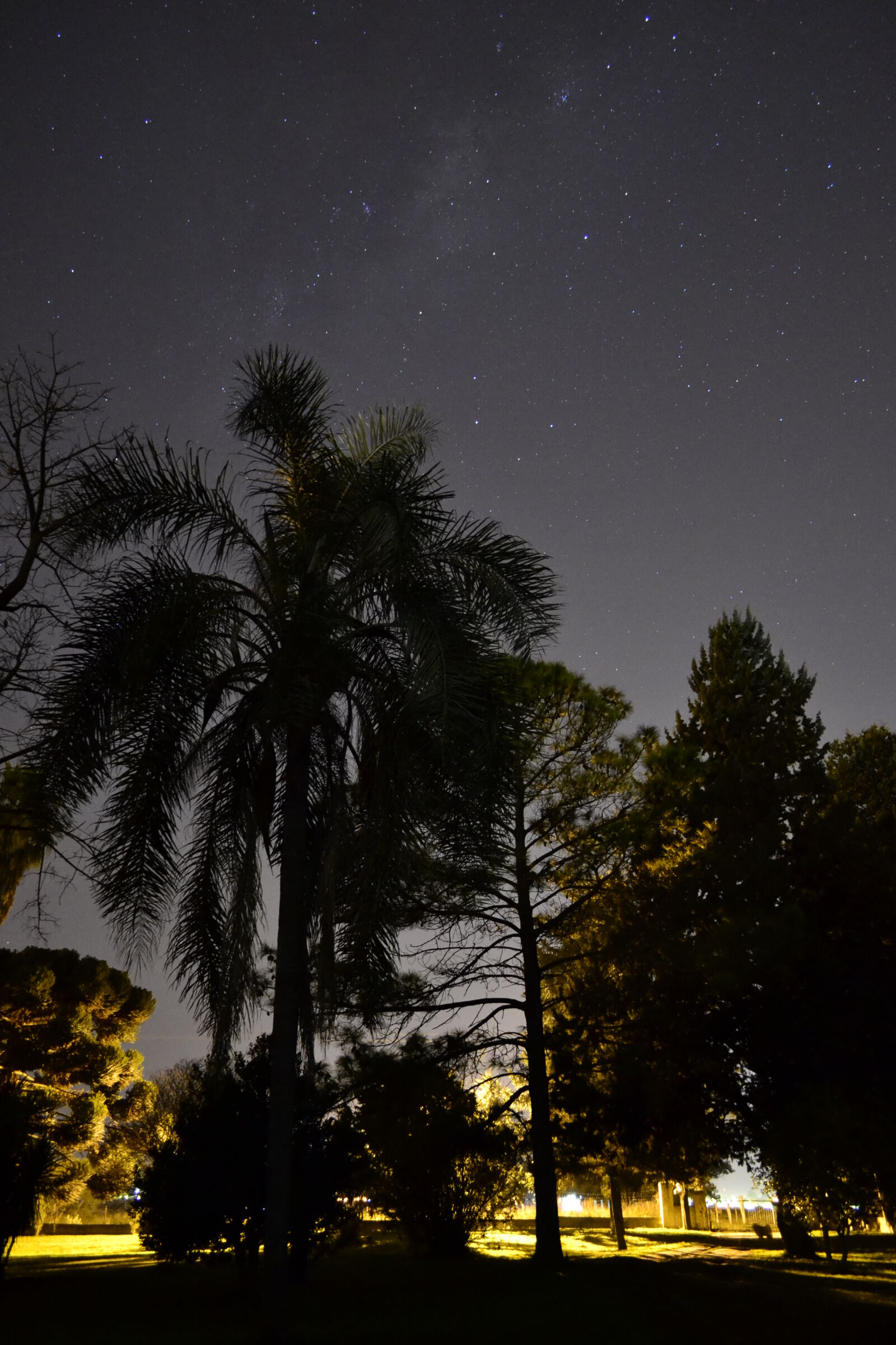 Nikon D3100 sample photo. Night photography