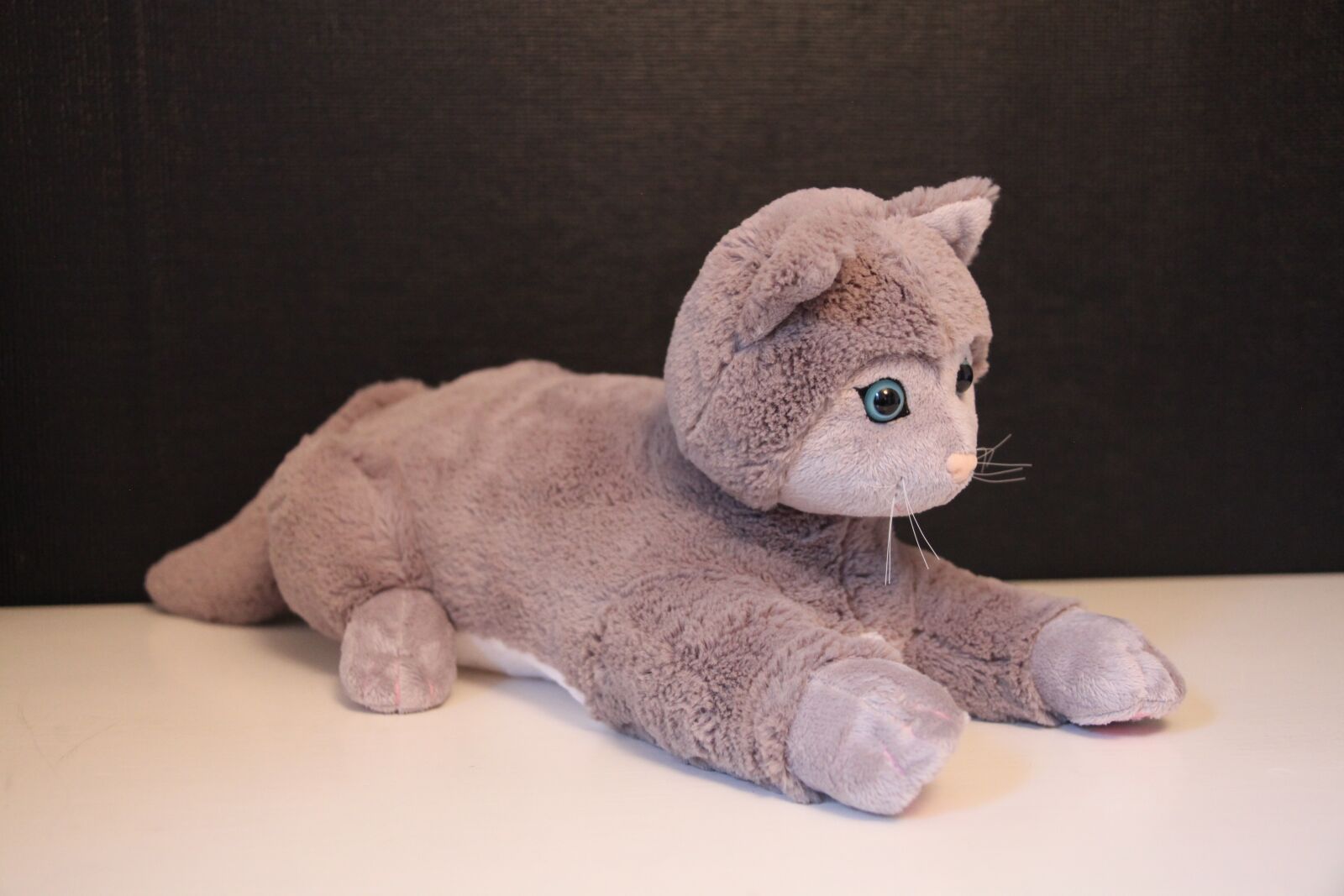 Canon EOS 5D Mark II sample photo. The cat, animal, machine photography