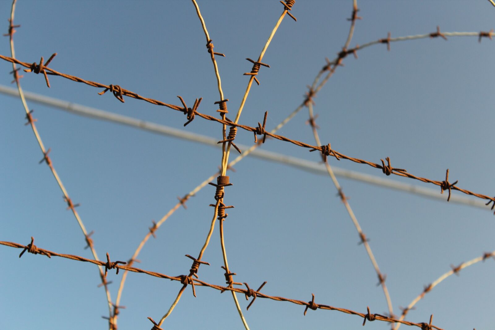 Canon EF-S 18-55mm F3.5-5.6 III sample photo. Barbed wire, wire, security photography