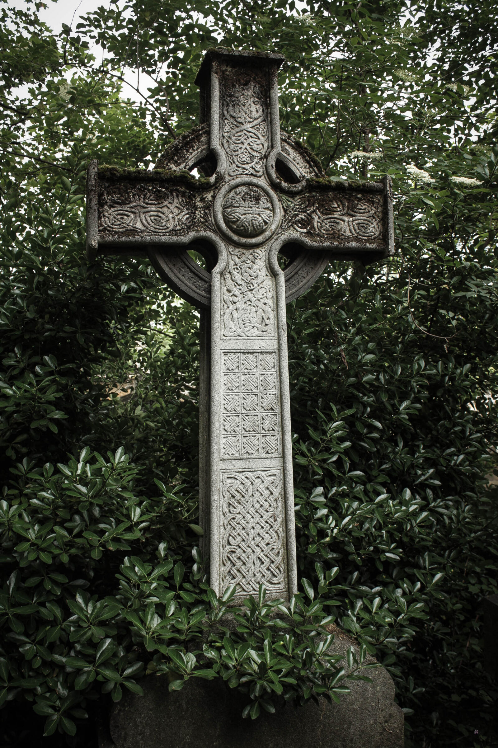 Canon EOS 450D (EOS Rebel XSi / EOS Kiss X2) sample photo. Celtic, cross, green, magic photography