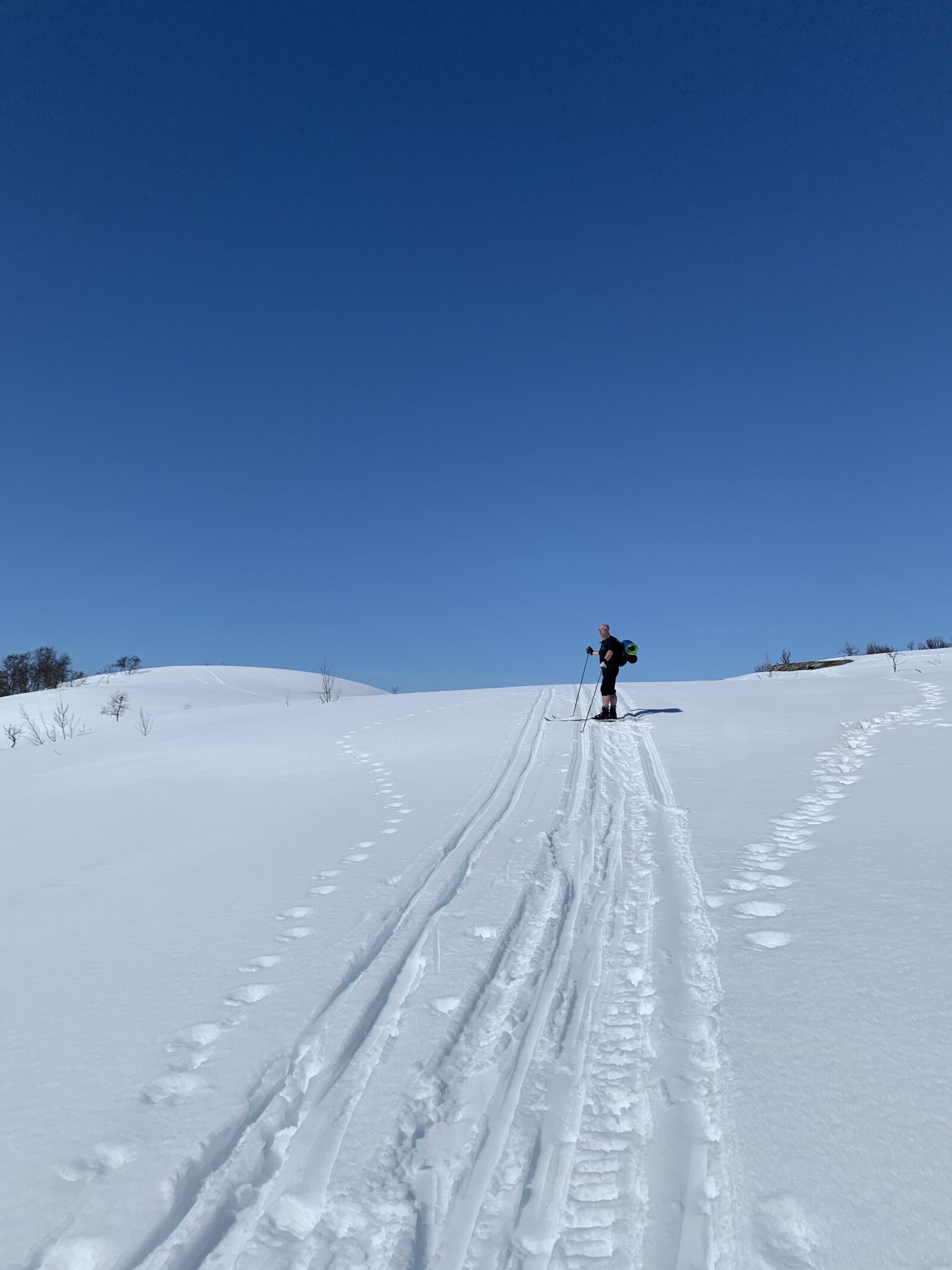 Apple iPhone XR sample photo. Skiing, cross-country skiing, white photography