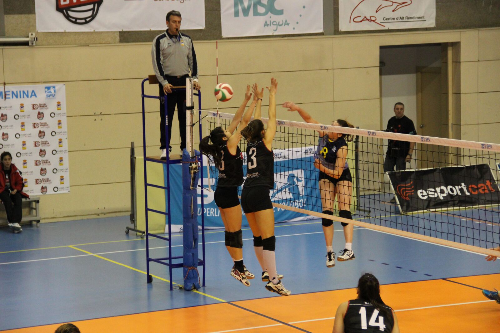 Canon EF-S 18-135mm F3.5-5.6 IS sample photo. Volleyball, party, game photography