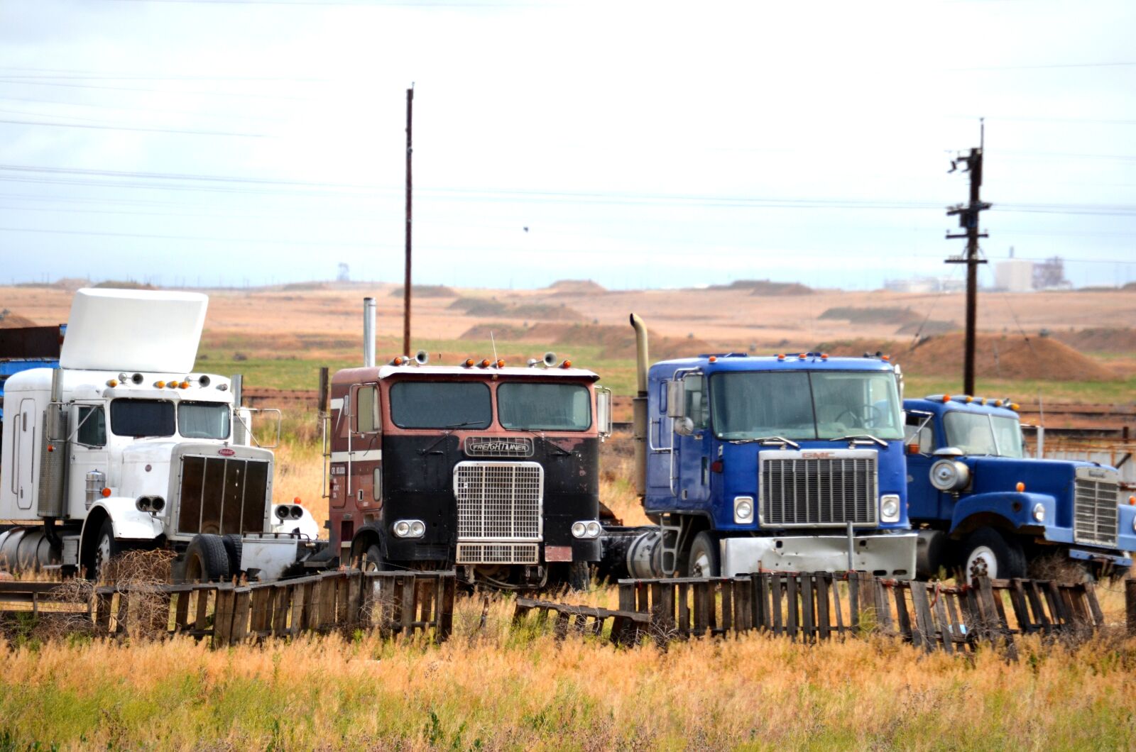 Nikon D5100 sample photo. Vintage, truck, junkyard photography
