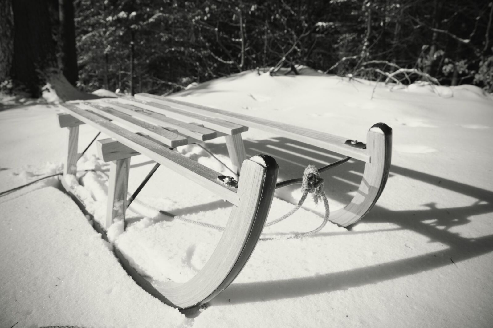 Canon EOS-1Ds Mark III sample photo. Slide, winter, snow photography