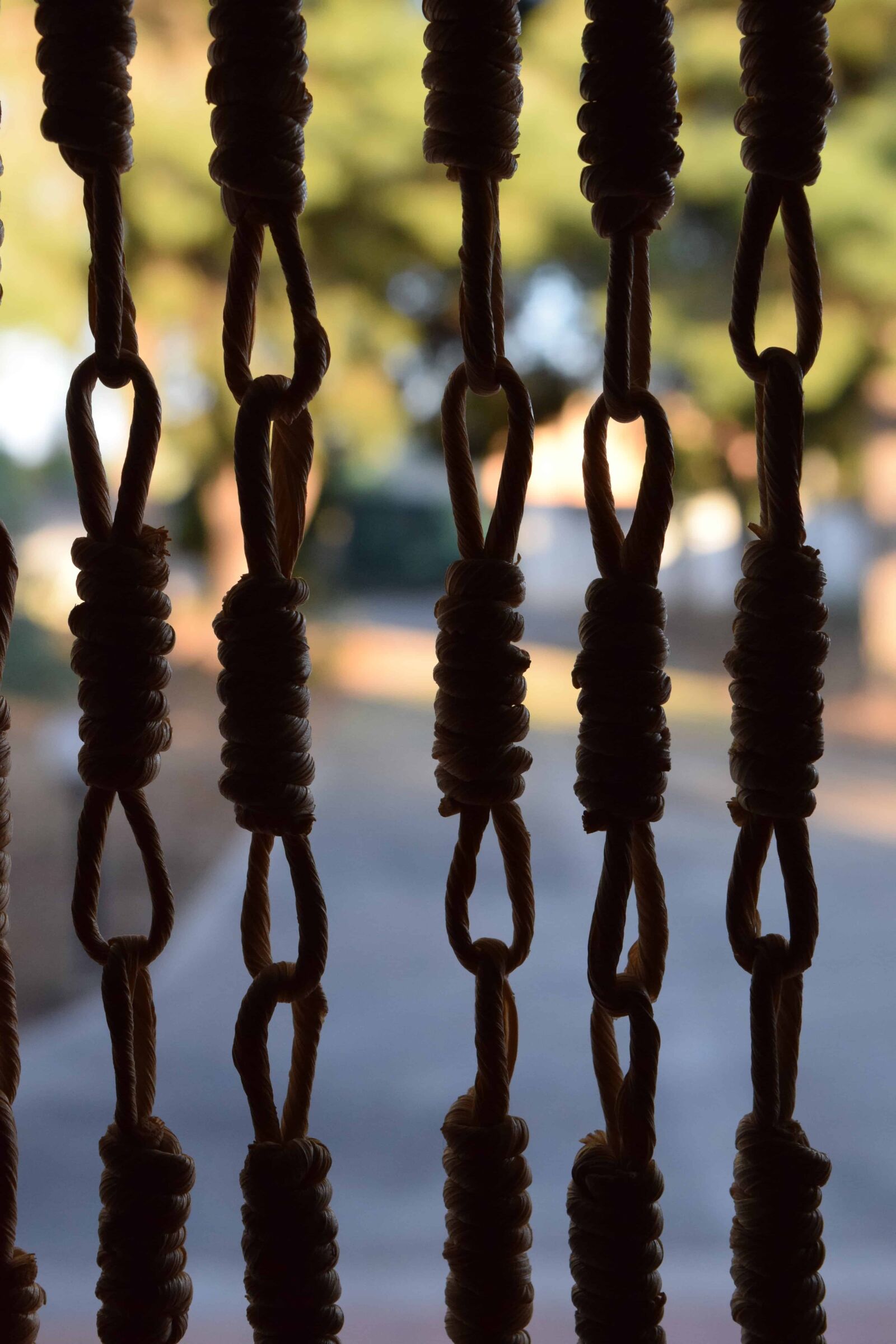 Nikon D3300 sample photo. Rope, daylight, object, material photography