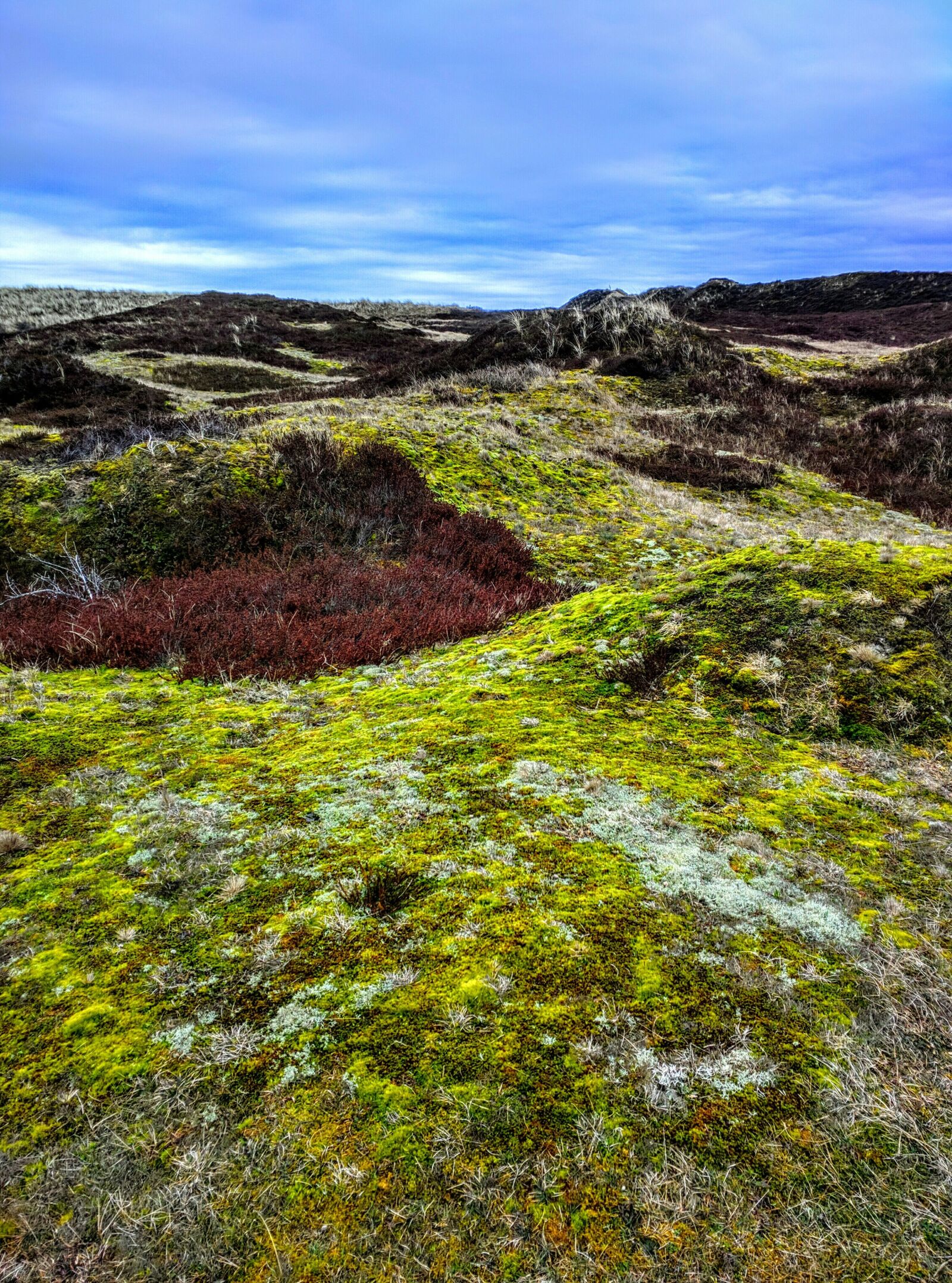Motorola Nexus 6 sample photo. Landscape, langeoog, hill photography