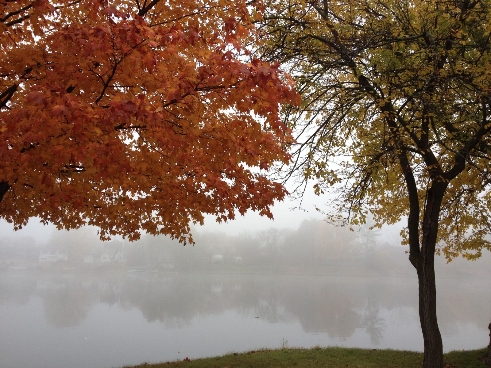 iPhone 4S back camera 4.28mm f/2.4 sample photo. River, fall, trees photography