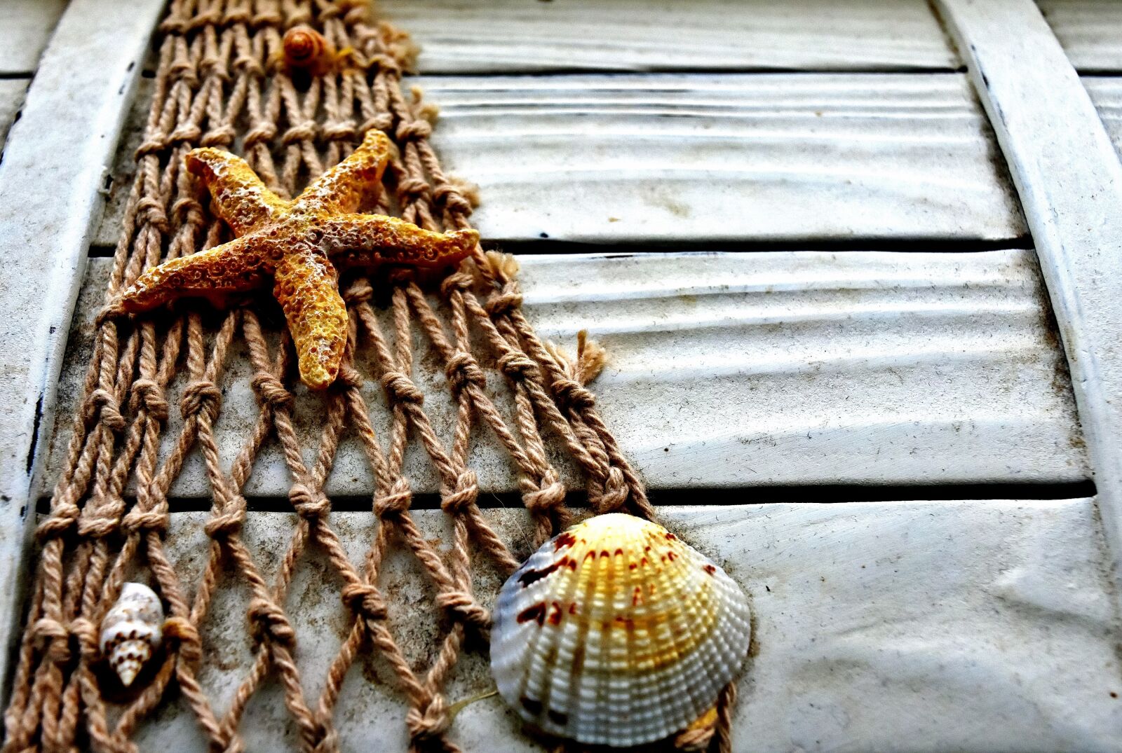 Nikon D7200 sample photo. Maritime, box, wood photography