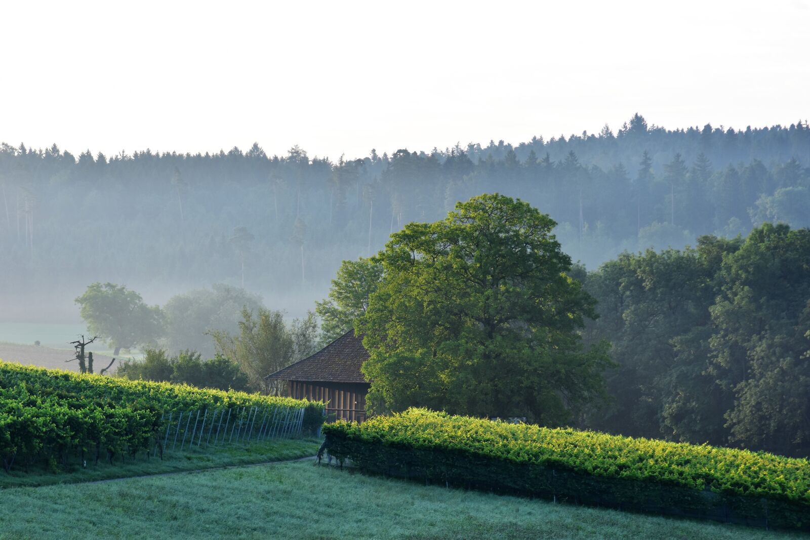 Nikon D5500 sample photo. Landscape, view, sunrise photography