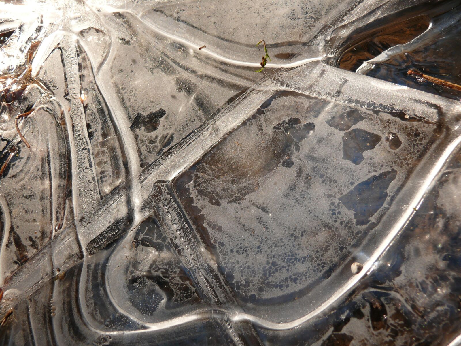 Panasonic DMC-FZ50 sample photo. Ice, winter, nature art photography