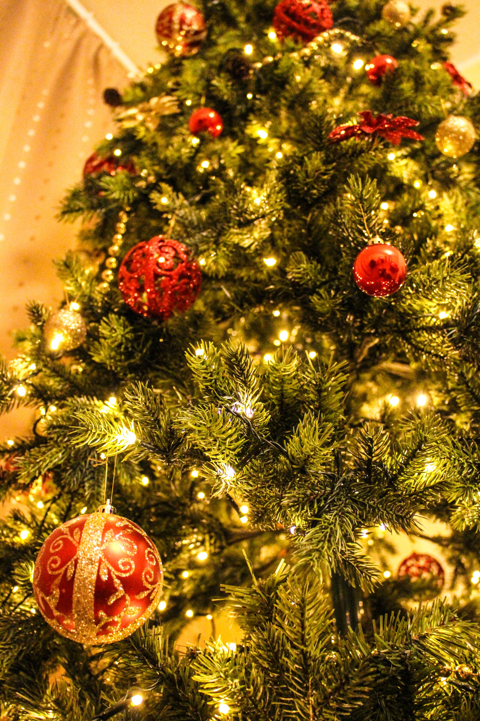 Canon EOS 700D (EOS Rebel T5i / EOS Kiss X7i) sample photo. Blur, celebration, christmas, christmas photography