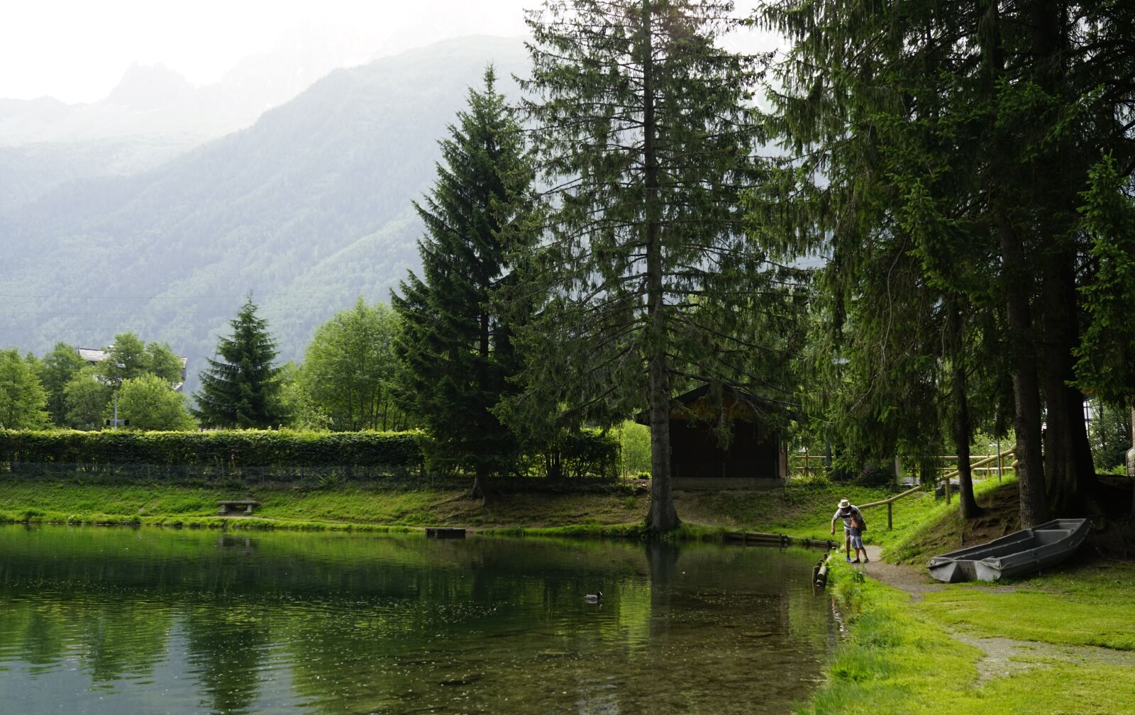 FE 35mm F0 ZA sample photo. Alps, tree, lake photography