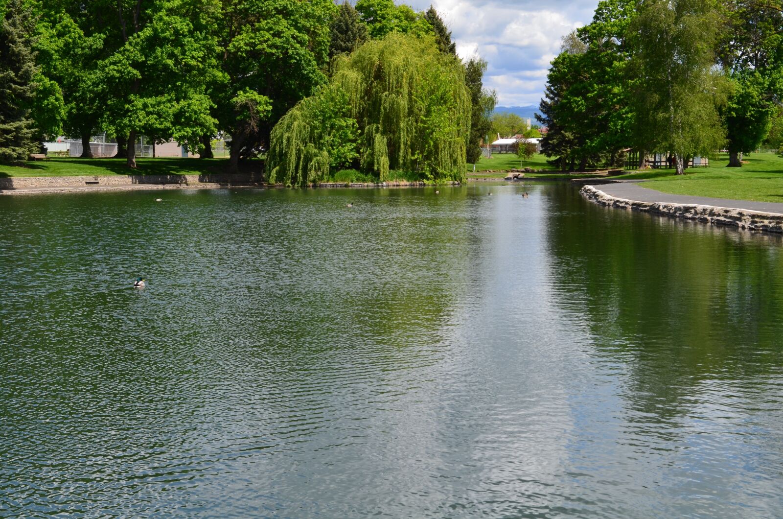 Nikon D5100 sample photo. Pioneer park, park, pond photography