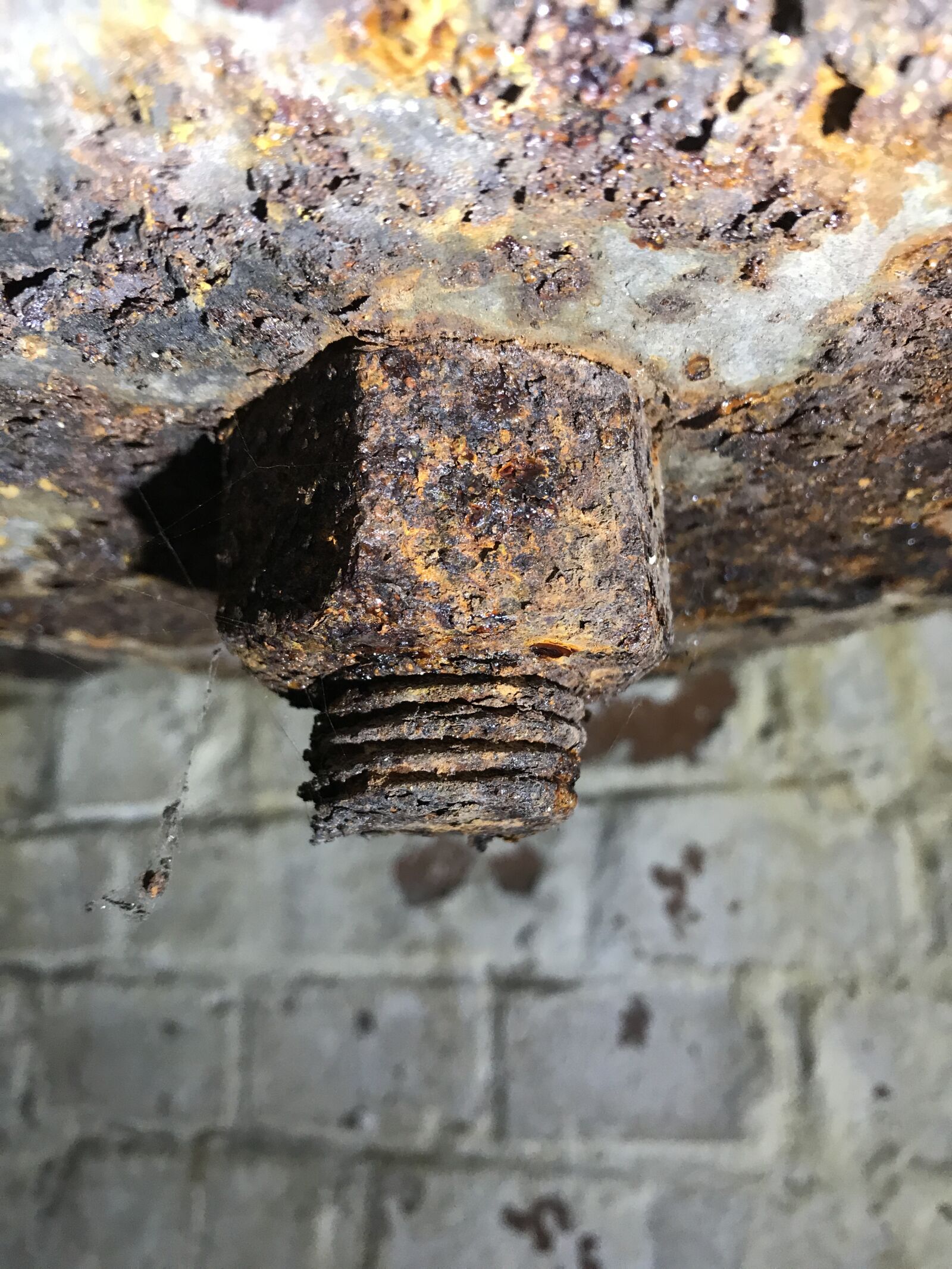 iPhone 7 back camera 3.99mm f/1.8 sample photo. Rusty, nut, metal photography