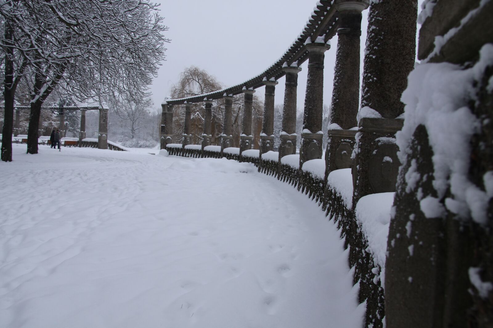 Canon EOS 50D sample photo. Winter, snow, cold photography