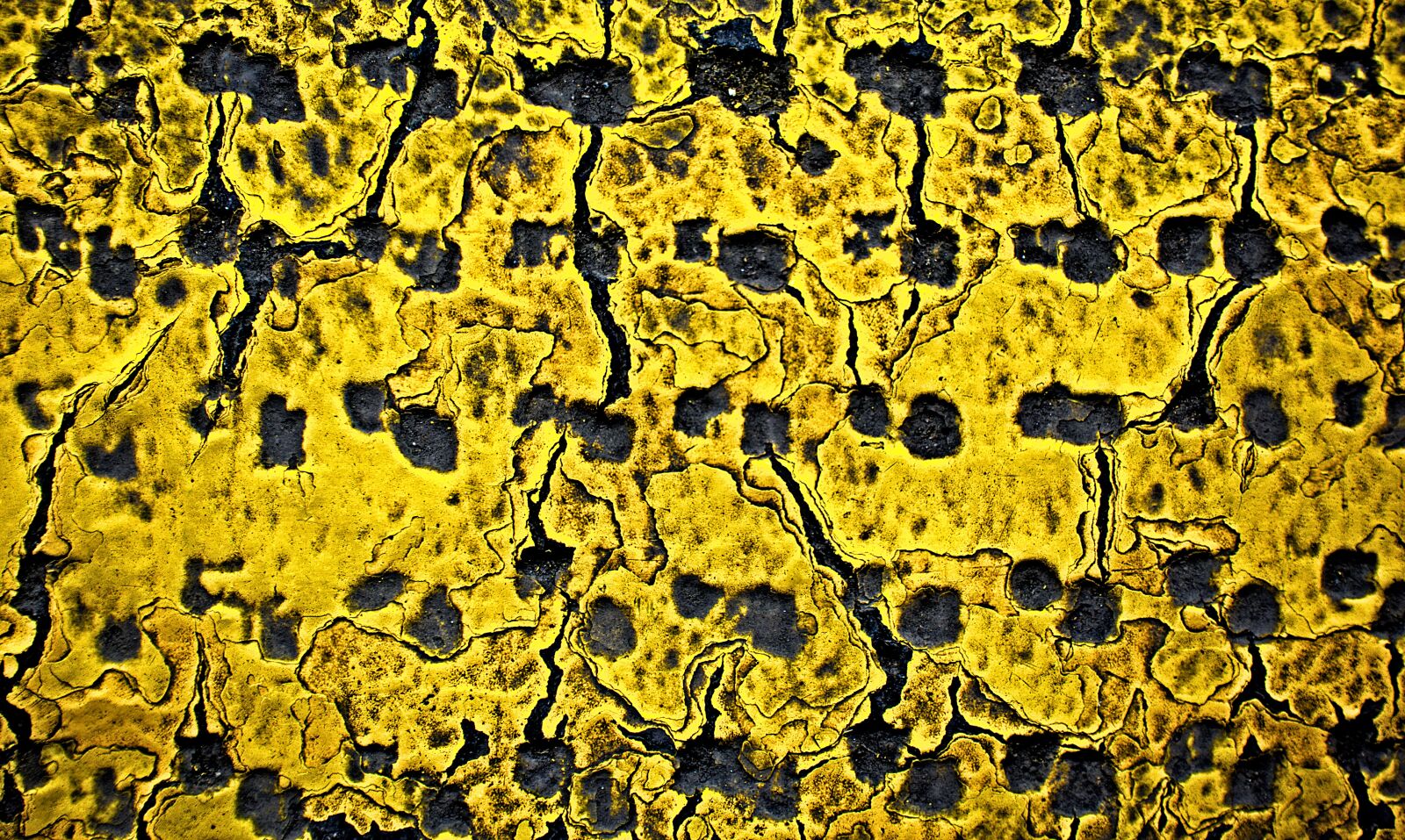Sony DSC-RX100M5 sample photo. Yellow, grunge, pattern photography