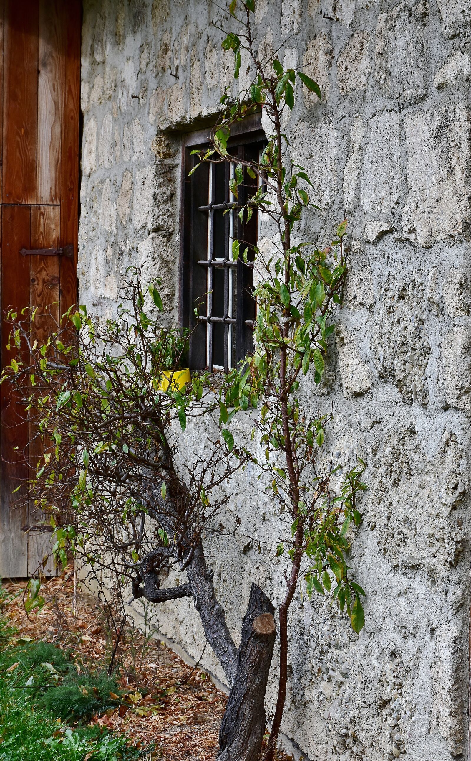 Nikon D7200 sample photo. Facade, old, romantic photography