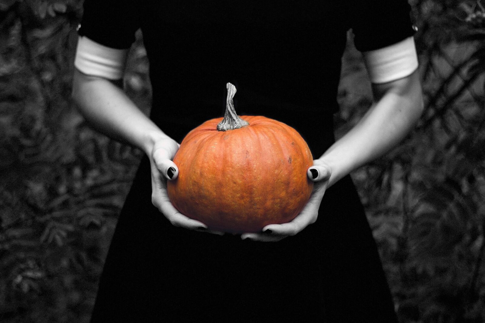 Canon EOS 600D (Rebel EOS T3i / EOS Kiss X5) + Canon EF 50mm F1.8 II sample photo. Pumpkin, lady, halloween photography