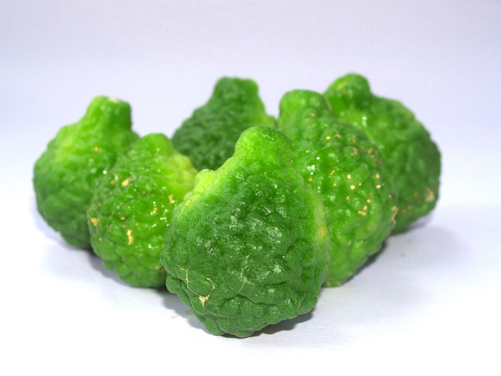 Olympus E-300 (EVOLT E-300) sample photo. Bergamot, fruit, leaf photography