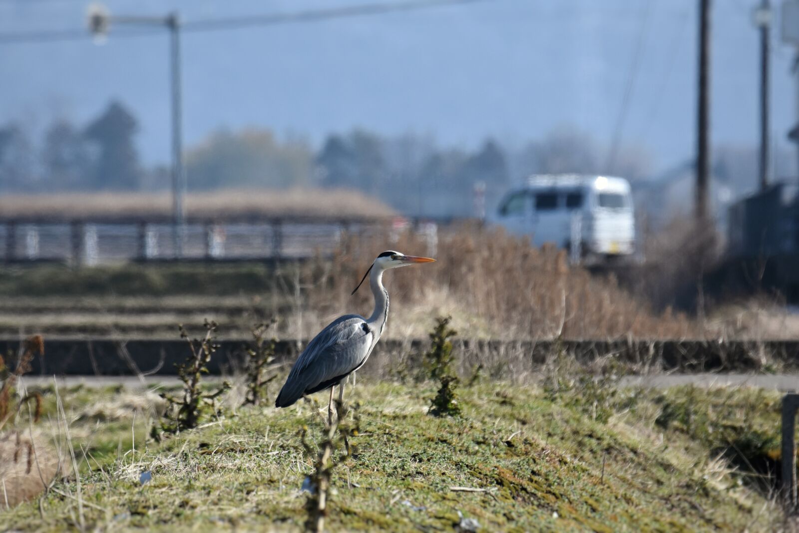 Nikon D7200 sample photo. Natural, landscape, the countryside photography