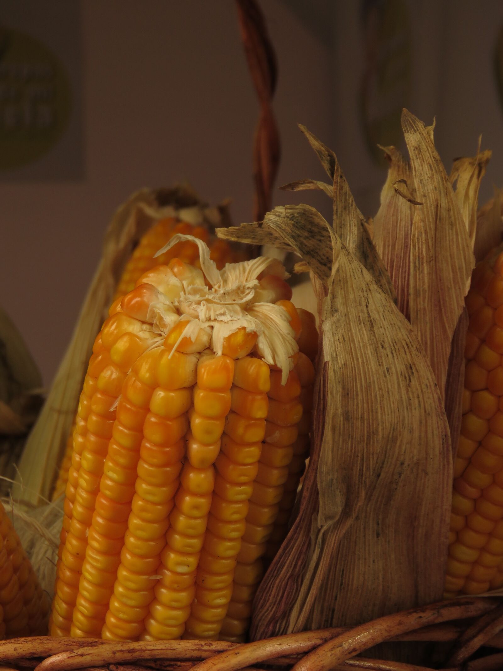 Canon PowerShot SX60 HS sample photo. Corn, food, grain photography