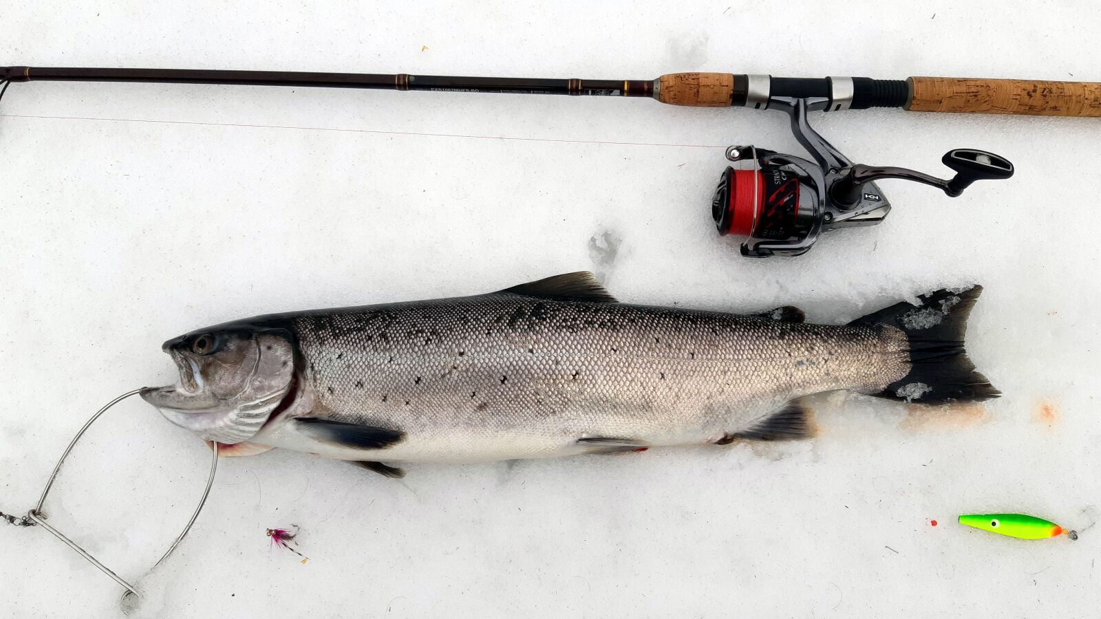 Samsung Galaxy A8(2018) sample photo. Fish, fang, bait photography