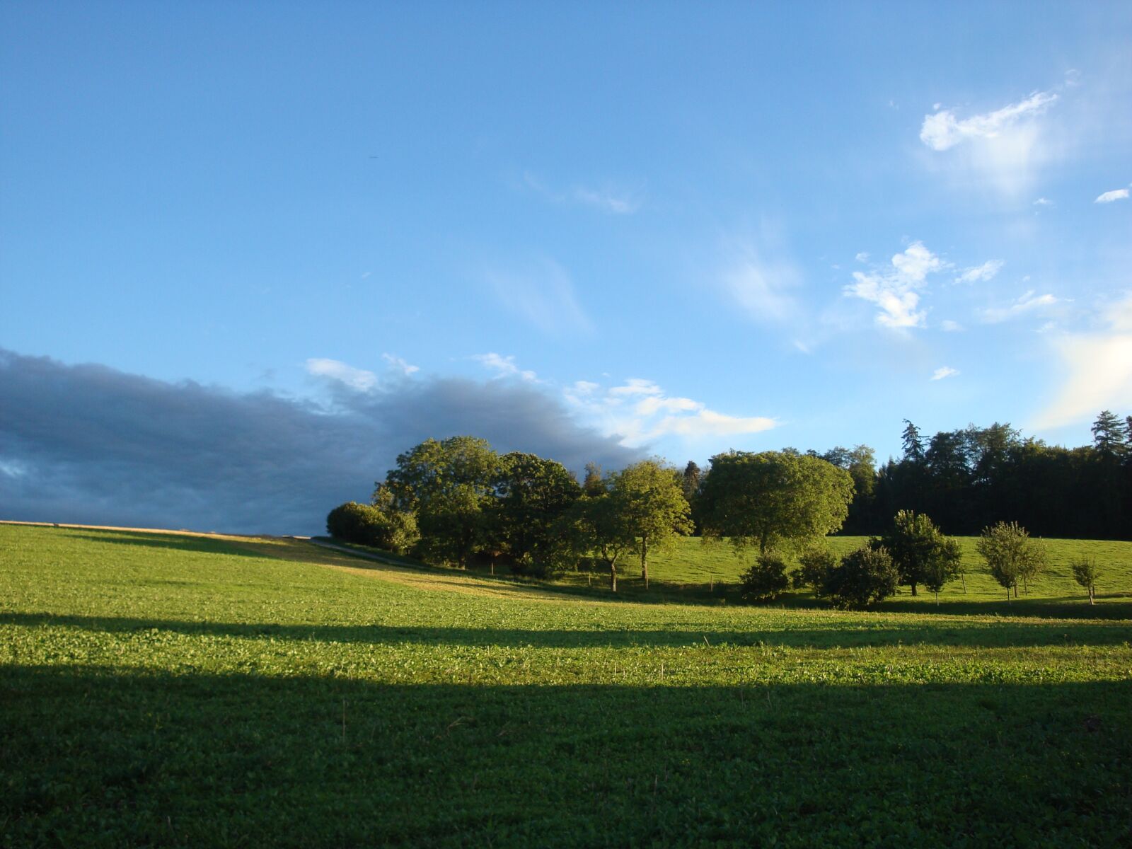 Sony Cyber-shot DSC-W150 sample photo. Landscape, mood, shadow photography