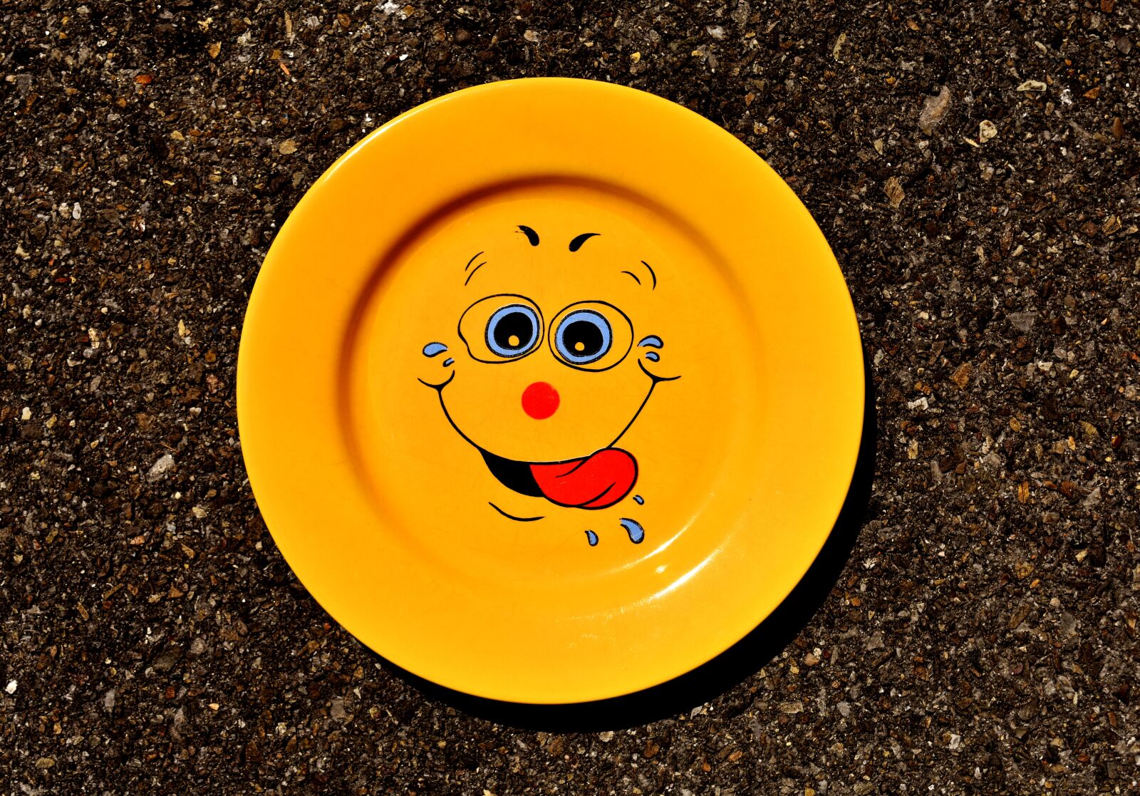 Nikon D7200 sample photo. Plate, tableware, smiley photography