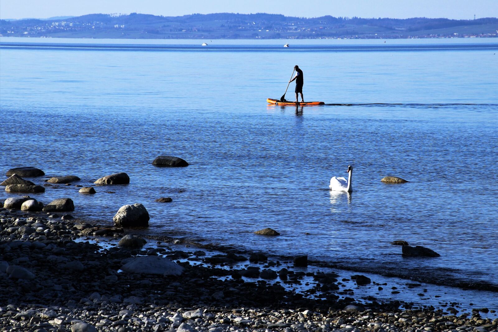 Canon EOS 80D sample photo. Bodensee, sup, a person photography