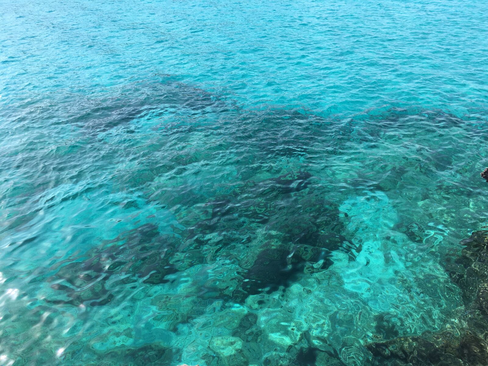 iPhone SE back camera 4.15mm f/2.2 sample photo. Nature, ocean, water photography