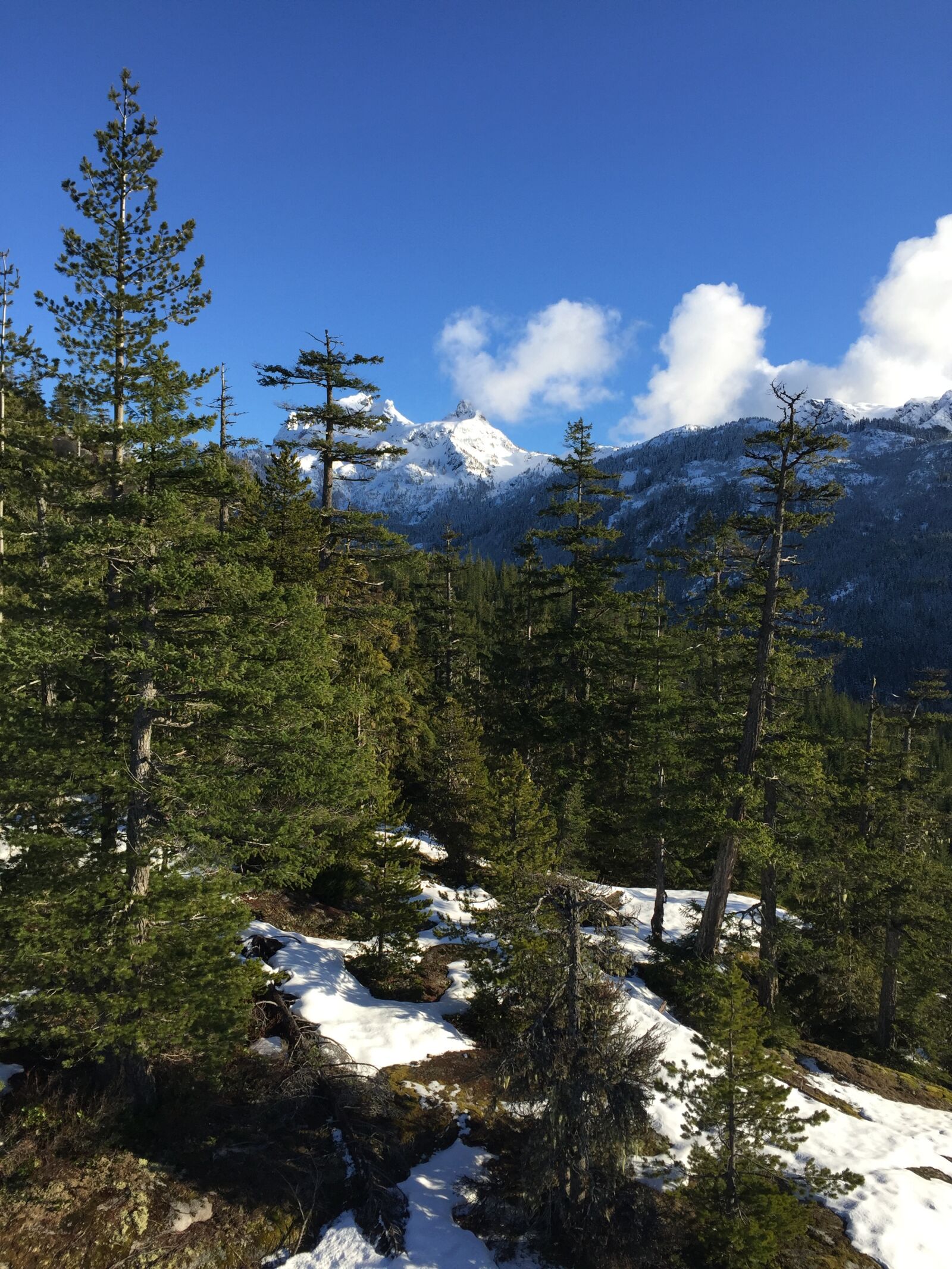 iPhone 6 Plus back camera 4.15mm f/2.2 sample photo. Canada, mountains, landscape photography