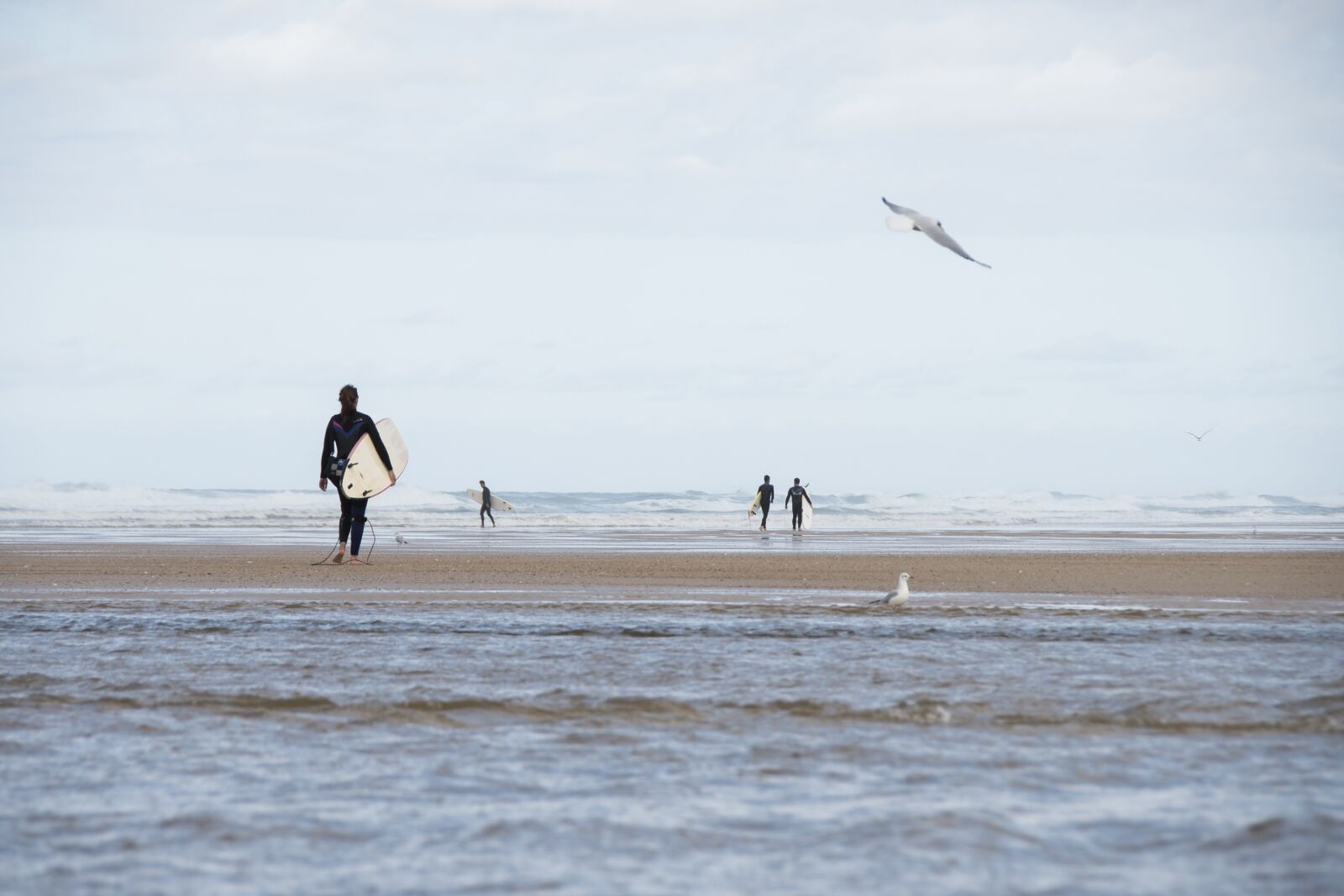 Nikon D750 sample photo. Surfer, atlantic, seagull photography