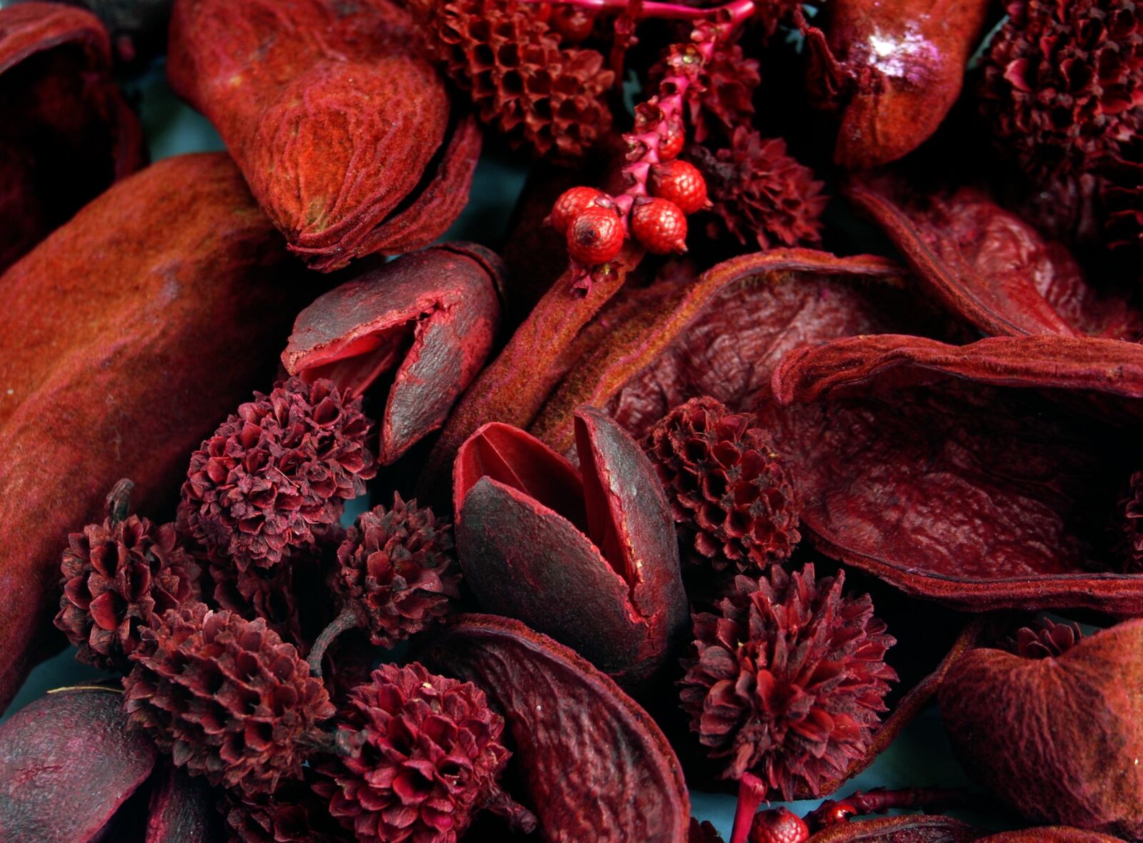 Nikon D200 sample photo. Fragrant, smell, pour pourri photography