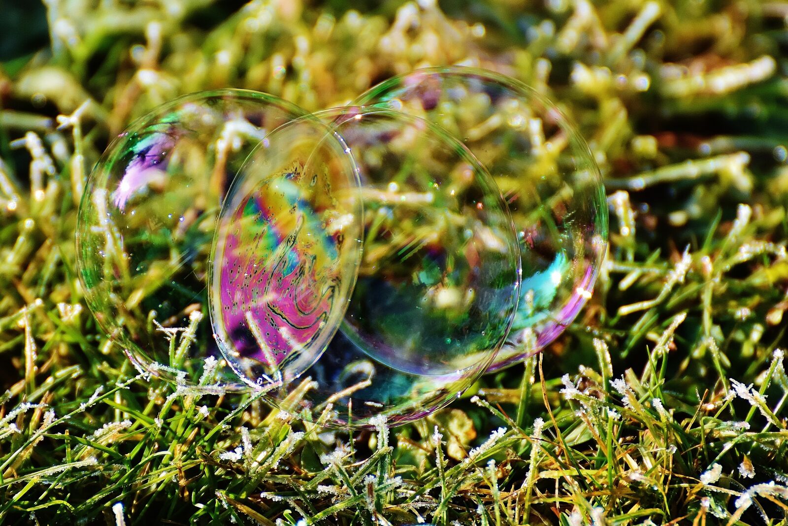 Nikon D7200 sample photo. Soap bubble, colorful, meadow photography