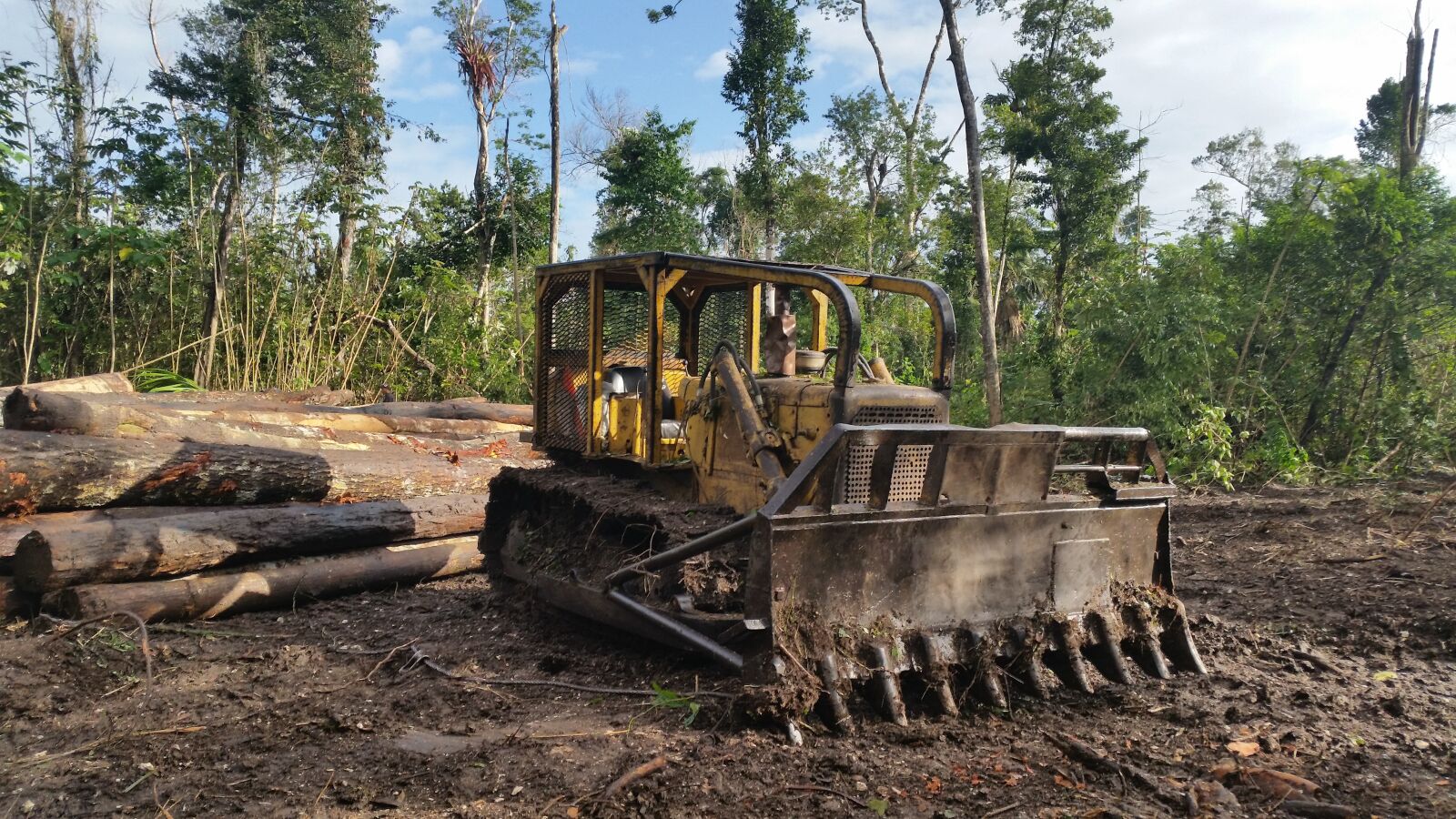 Samsung Galaxy S5 sample photo. Wood, soil, industry photography