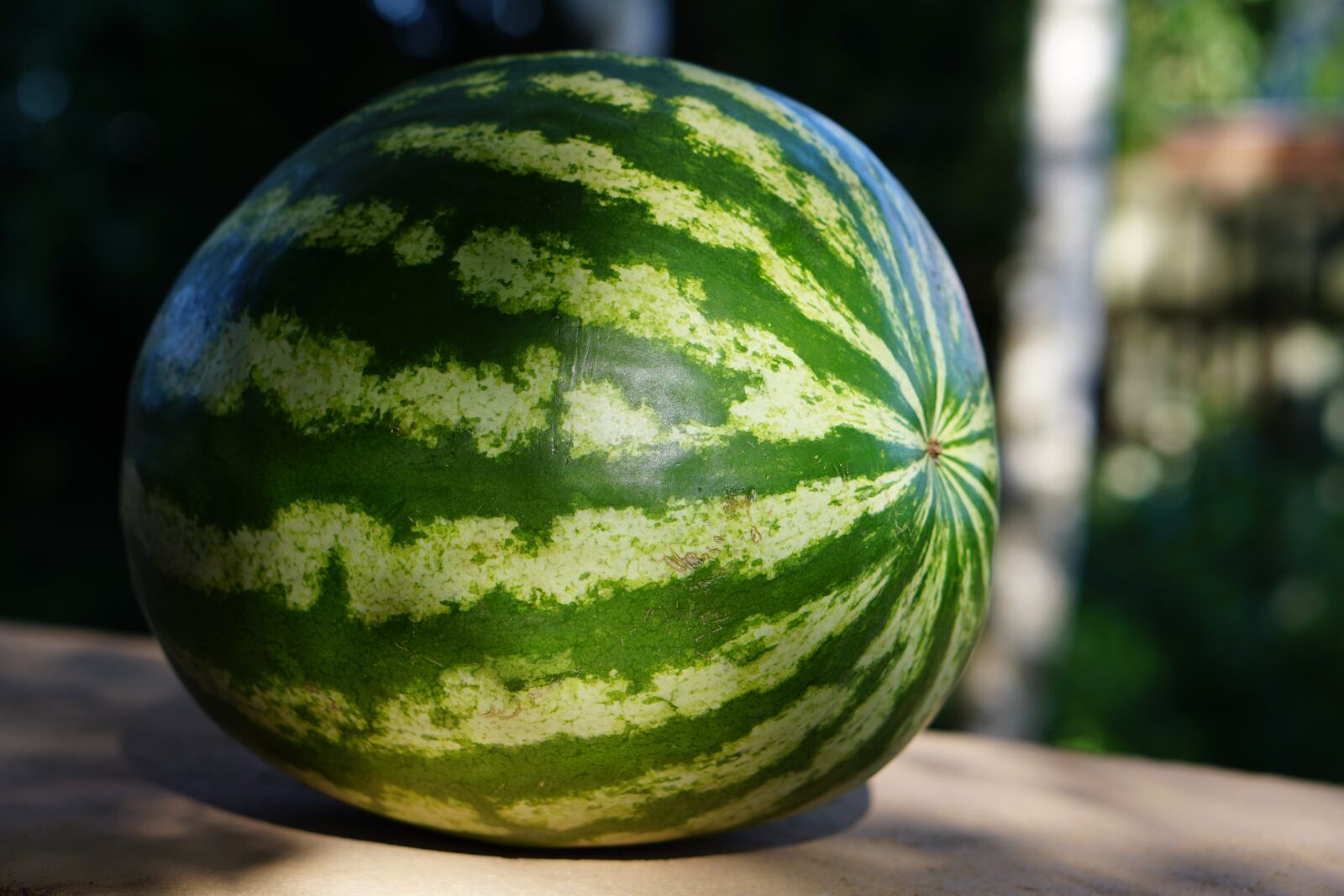E 50mm F1.8 OSS sample photo. Watermelon, summer, food photography