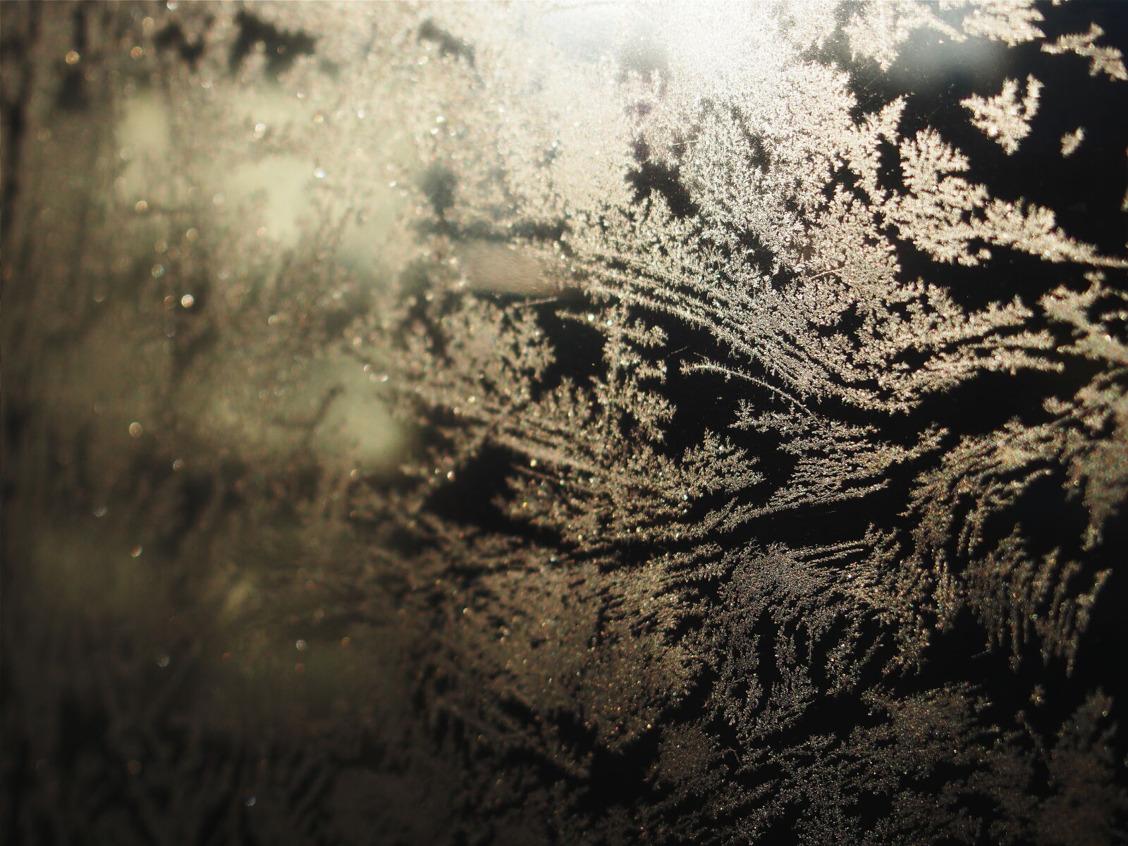 Olympus PEN E-PL5 sample photo. Frost, painting, window, winter photography