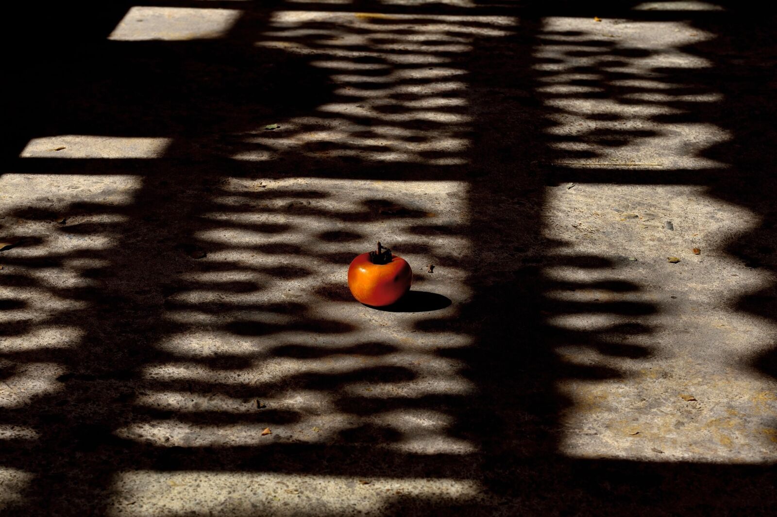 Nikon D800E sample photo. Humanities, cultivate, rural photography