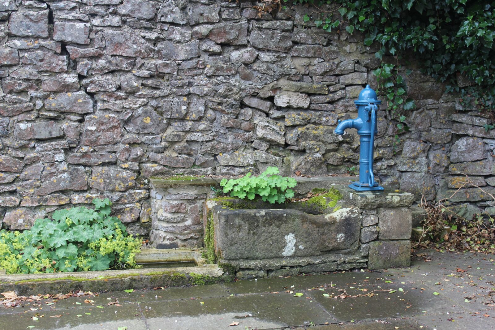 Canon EOS 600D (Rebel EOS T3i / EOS Kiss X5) sample photo. English village, water pump photography