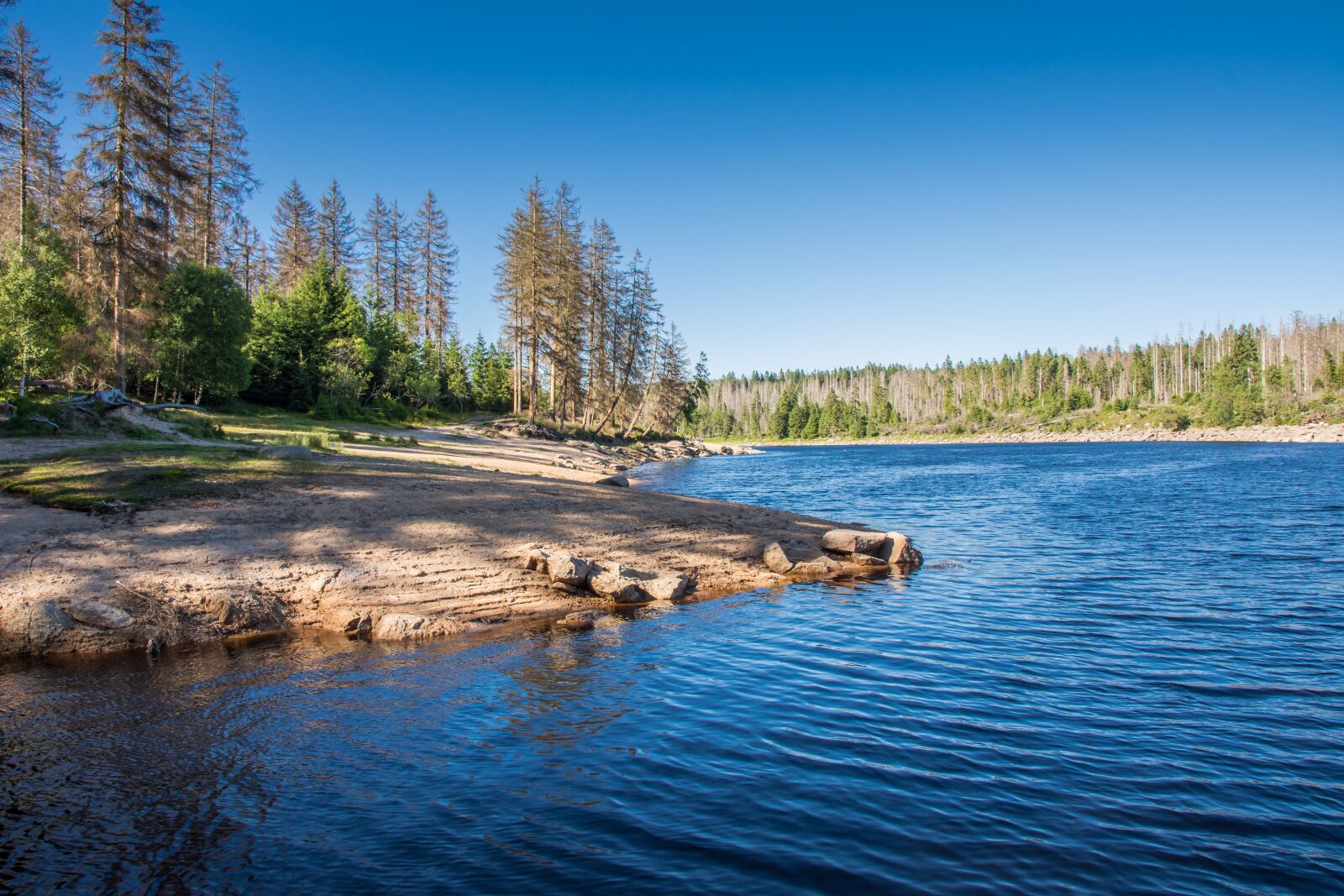 Nikon D7200 sample photo. Lake, bergsee, forest photography