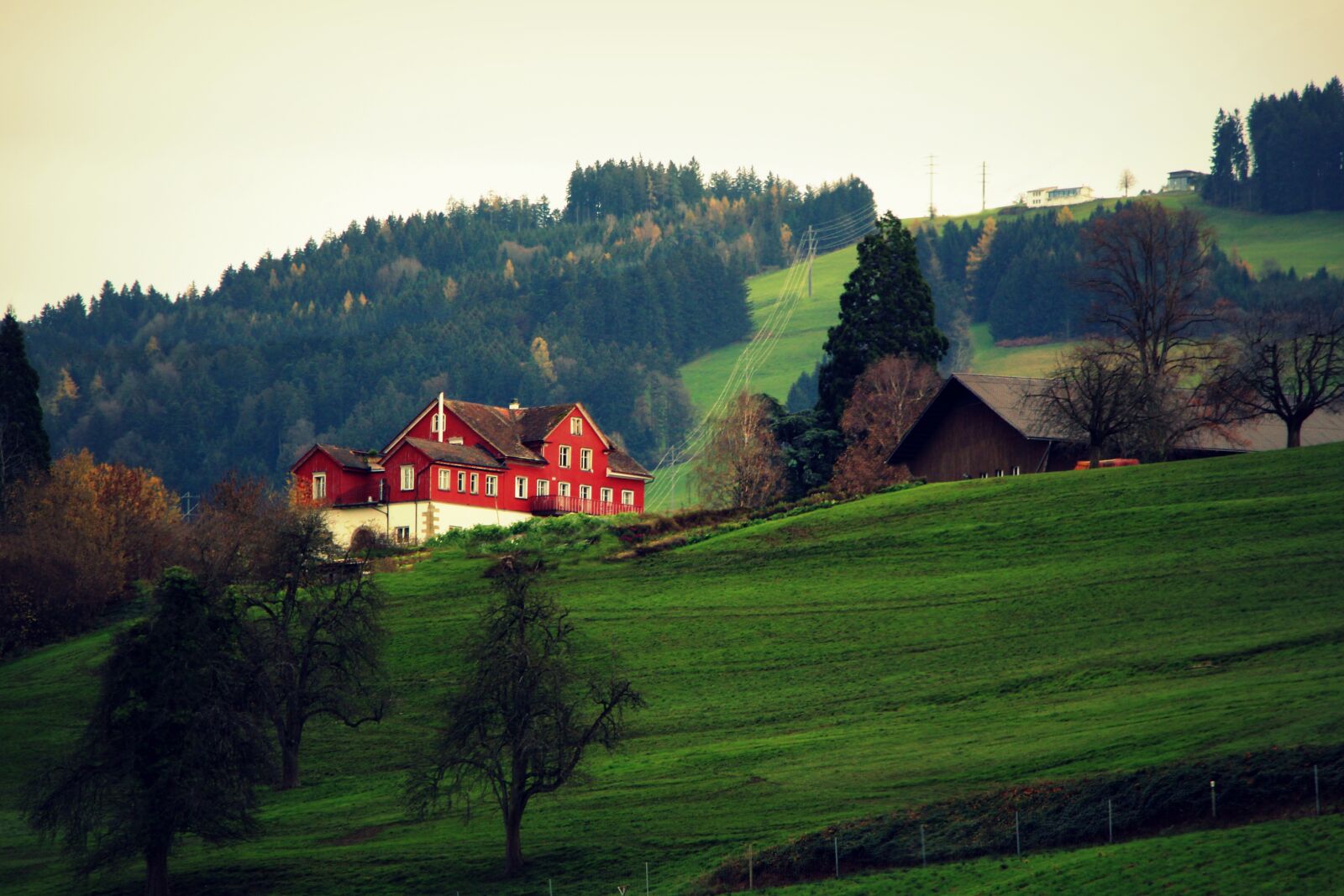 Canon EOS 700D (EOS Rebel T5i / EOS Kiss X7i) sample photo. Highland, green, grass photography