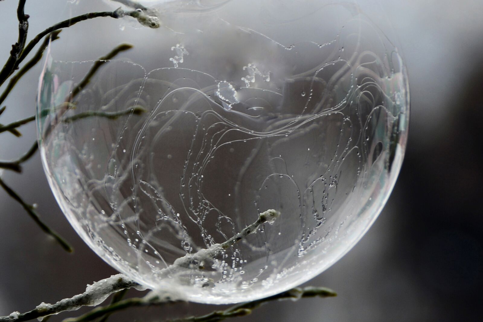 Nikon D7100 sample photo. Soap bubble, freezer, winter photography