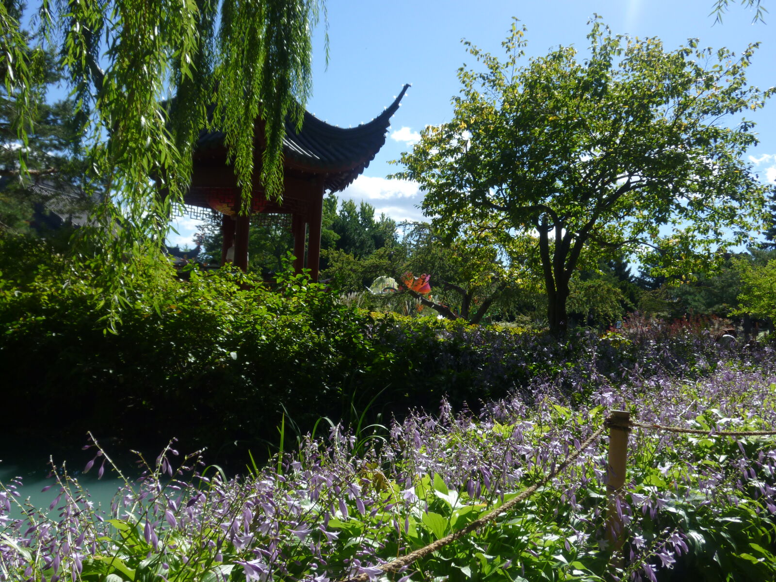 Panasonic DMC-ZR1 sample photo